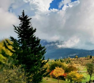 POST CASTAHALLOWEEN AL JOU NATURE 7/8 DE NOVEMBRE