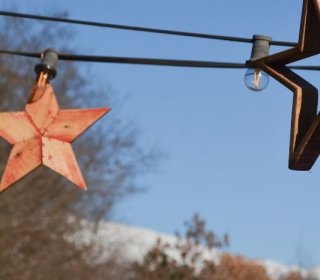 27/28/29 DE NOVEMBRE 2026- A LA RECERCA DEL TIÓ AL BOSC DEL JOU NATURE