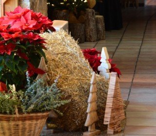 18/20 DESEMBRE 2026 - CHRISTMAS INSPIRATION