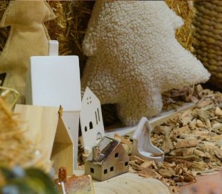 27/28/29 DE NOVEMBRE 2026- A LA RECERCA DEL TIÓ AL BOSC DEL JOU NATURE