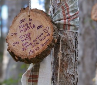 27/28/29 DE NOVEMBRE 2026- A LA RECERCA DEL TIÓ AL BOSC DEL JOU NATURE