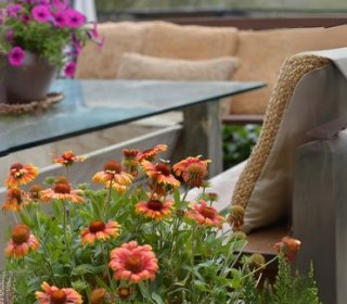 Welcome Primavera 20/22 de març de 2026