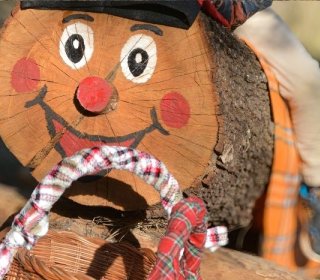 11/13 de DESEMBRE 2026- A LA RECERCA DEL TIÓ AL BOSC DEL JOU NATURE