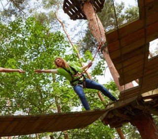 El Jou Naure: Serveis extres (Activitats, visites guiades...)