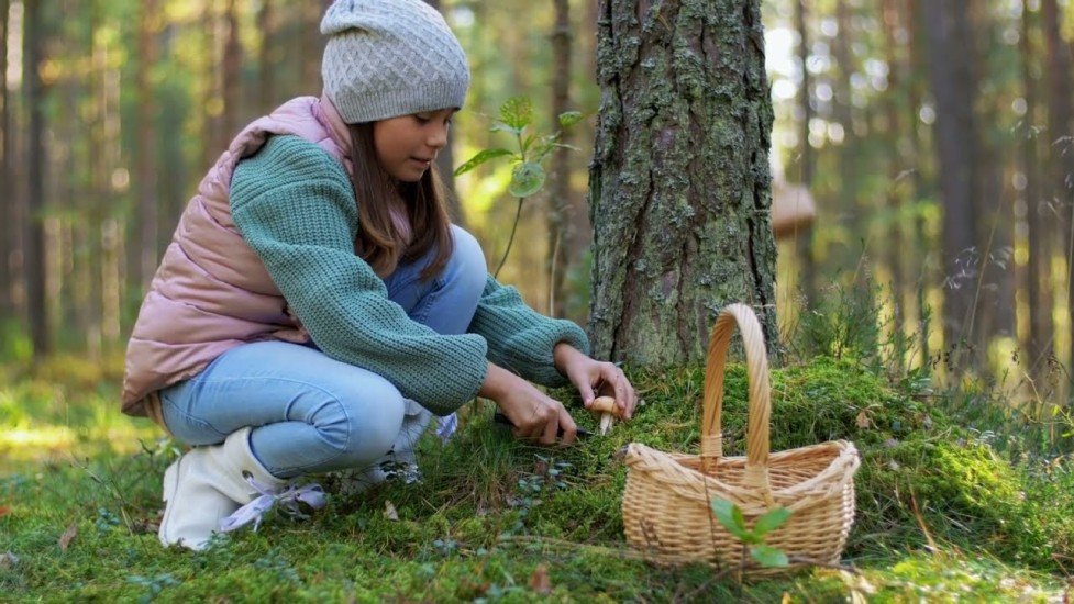 UPGRADE Your Mac with THIS!