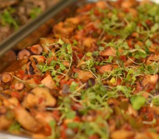 CASTAHALLOWEEN POST AT JOU NATURE NOVEMBER 8/9