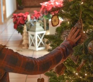 BRIDGE 5/8 DECEMBER 2025 and Research of the Tió