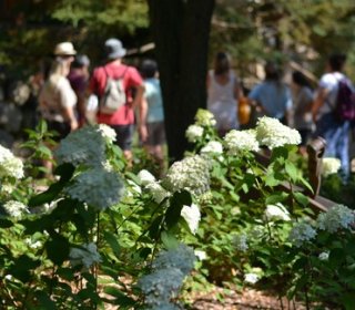JUNE 6/7/8 - FAMILY WEEKEND - Live spring!