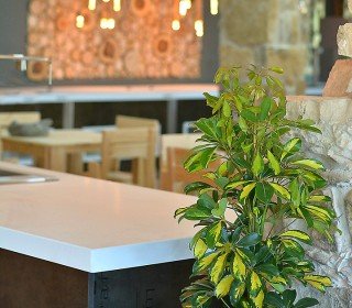 Hotel El Jou Naure Cafeteria Restaurant (3)