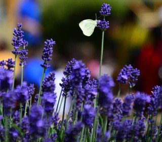 May 16/17, 2026. Family getaway