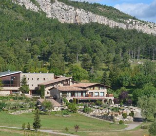 Company’s holiday lunch or dinner