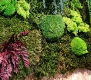 El Jou Nature: Eco Friendly Style