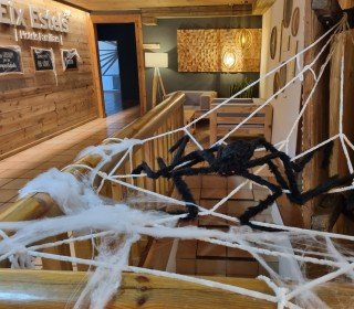 CASTAHALLOWEEN POST AT JOU NATURE NOVEMBER 8/9