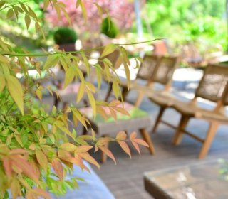 JUNE 6/7/8 - FAMILY WEEKEND - Live spring!