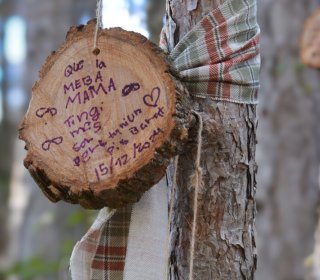 DECEMBER 20/21 - CHRISTMAS and THE SEARCH FOR UNCLE IN NATURE DAY