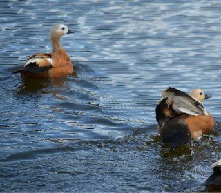 El Jou Nature, enjoy the extraordinary!