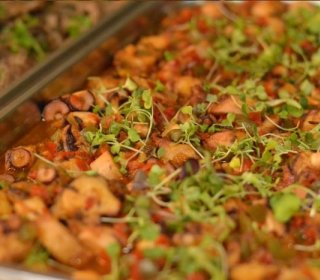 BRIDGE 5/8 DECEMBER 2025 and Research of the Tió