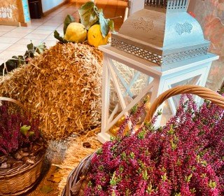 CASTAHALLOWEEN POST AT JOU NATURE NOVEMBER 8/9