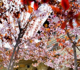 Outdoor spaces to be enjoyed