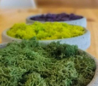 El Jou Nature: Eco Friendly Style