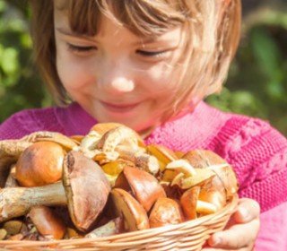 mushroom season at El Jou Nature