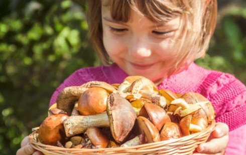 mushroom season at El Jou Nature