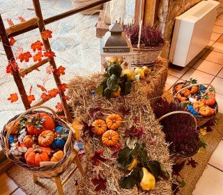 POST CASTAHALLOWEEN EN EL JUEVO NATURE 7/8 DE NOVIEMBRE