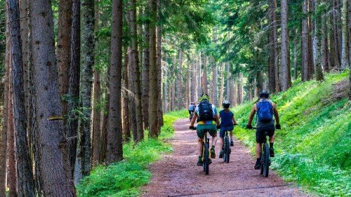 Rutas BTT Bergueda