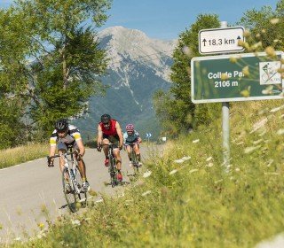 Actividades deportivas en El Jou Nature