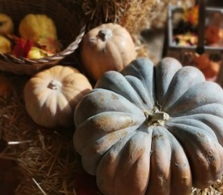 CASTAHALLOWEEN EN EL JUEVO NATURE 2026 - 30 de Octubre al 1 de Noviembre