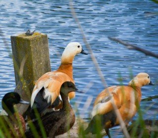 8/9/10 de mayo de 2026. Escapada familiar