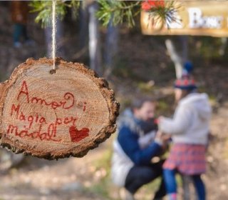11/13 de DICIEMBRE 2026- EN BUSCA DEL TIÓN EN EL BOSQUE DEL JUEVO NATURE