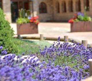 Escapada en el Berguedà