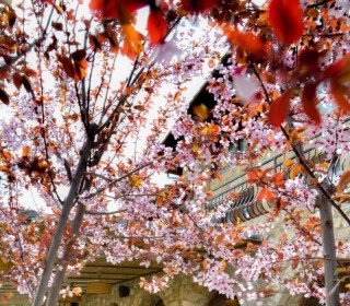 Hôtel idéal pour les groupes en pleine nature