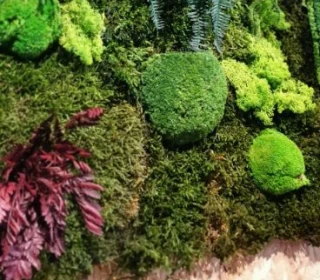 El Jou Nature : Style Eco-responsable