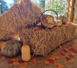 CASTHALLOWEEN POST SUR JOU NATURE 8/9 NOVEMBRE