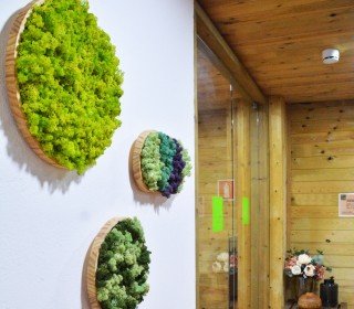 Détail El Jou Nature