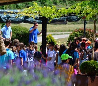 Votre hébergement familial au milieu des montagnes.