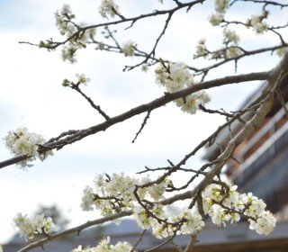 6 et 7 juin 2026. Escapade en famille