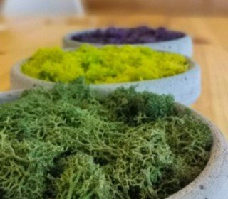 Entreprises et organisateurs d'événements MICE