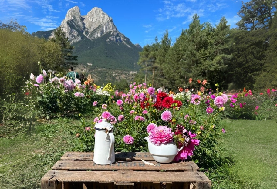 Entorn excursions El Jou Nature