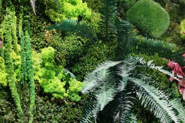 EcoFriendly El Jou Nature
