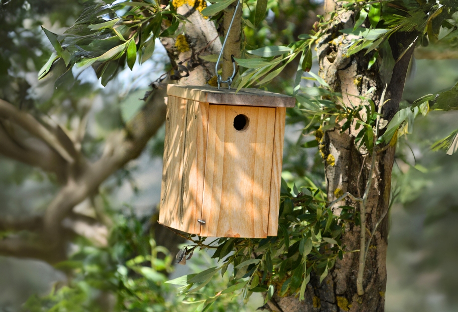 Eco responsabilidad El Jou Nature alojamiento sostenible