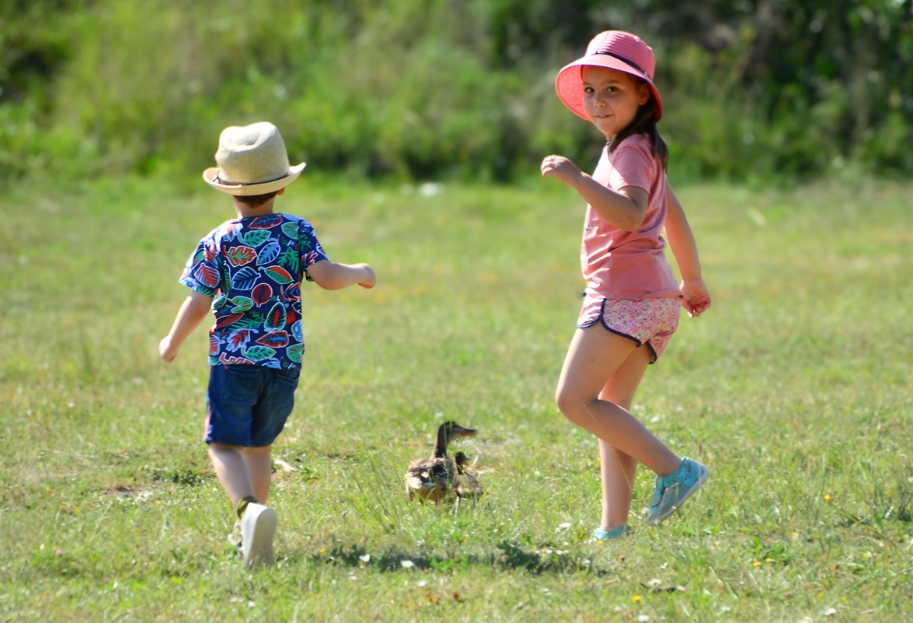 Family friendly jou nature