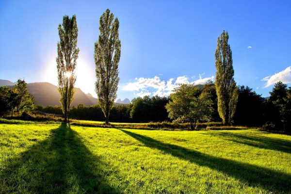 Entorno El Jou Nature